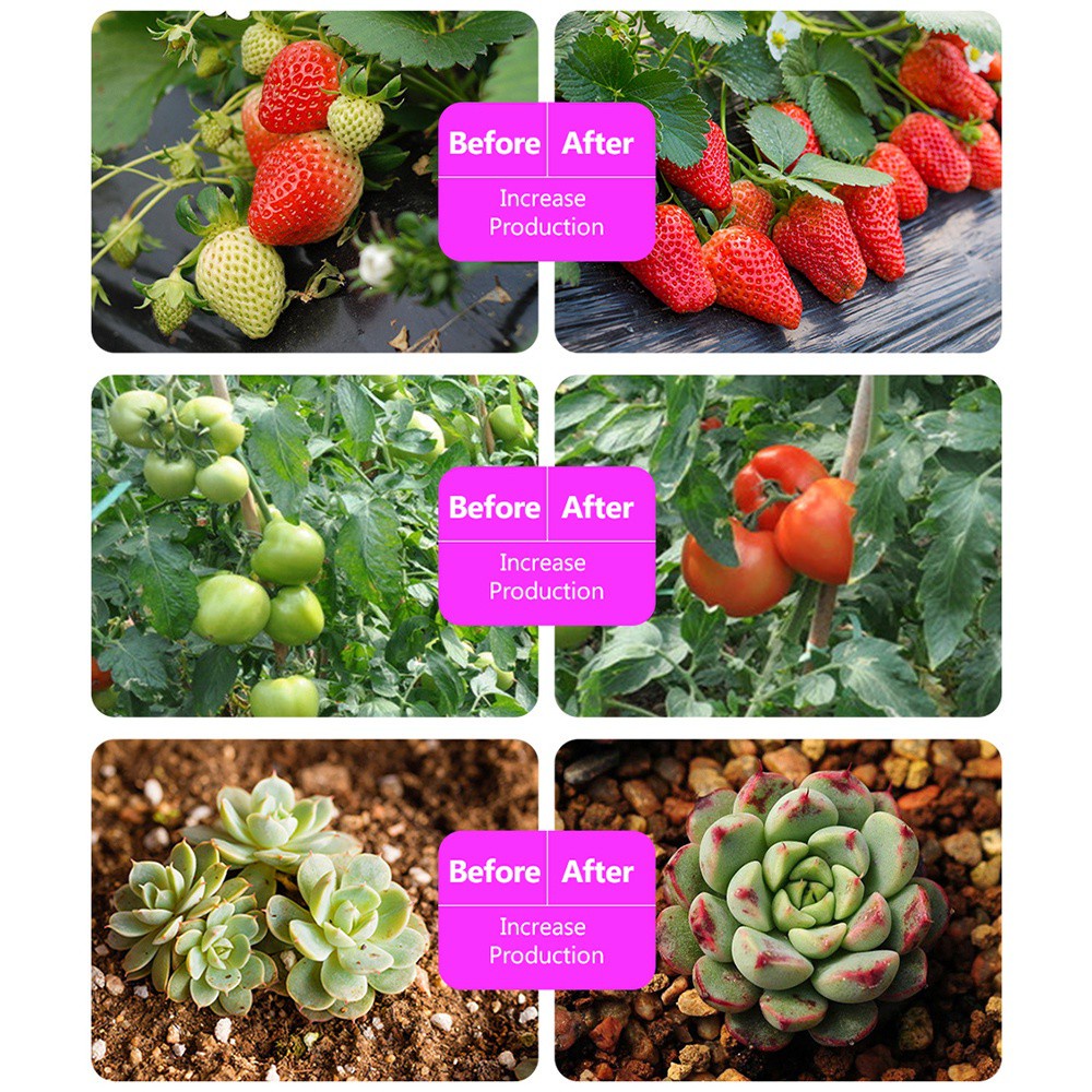 Dây Đèn Led Trồng Cây 5v 2835 Sử Dụng Năng Lượng Mặt Trời