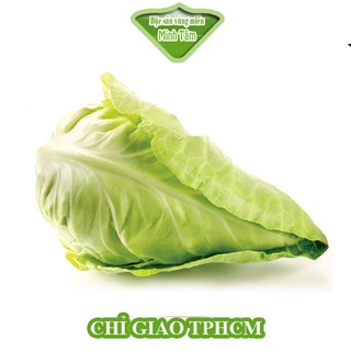Bắp cải trái tim Đà Lạt [CHỈ GIAO TP.HCM]