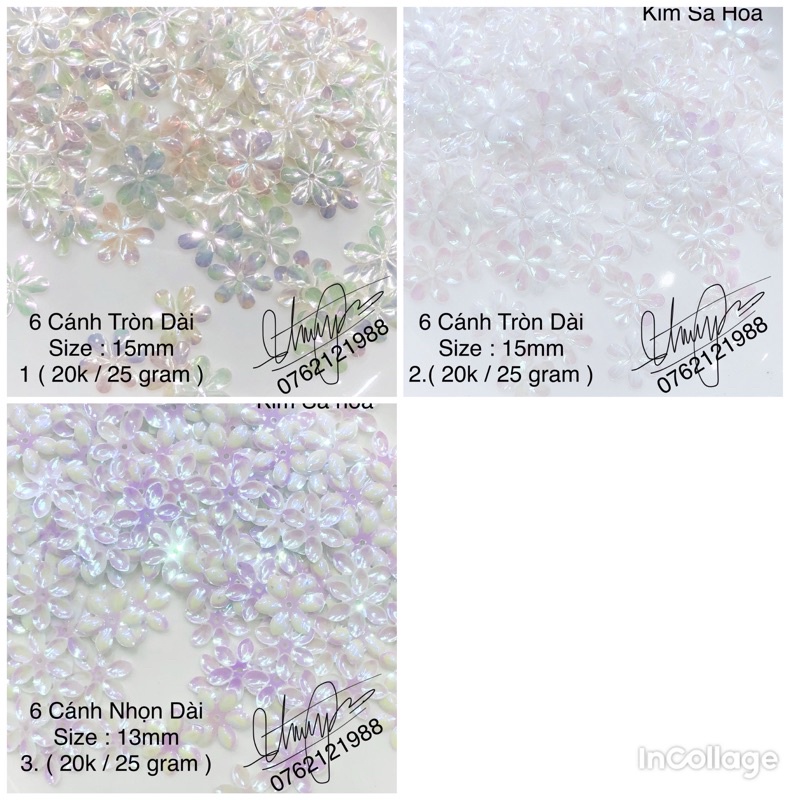 Kim Sa Hoa 6 cánh tròn dài