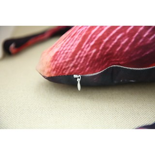 Gối Ôm Hình Con Gián