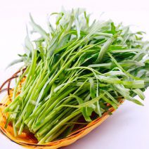 Hạt giống Rau muống (gói 100gr)