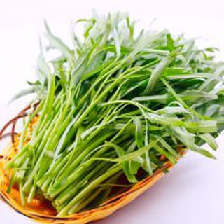 Hạt giống Rau muống