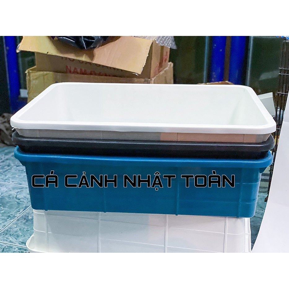 CÔNG NHỰA 16 LÍT NUÔI CÁ BẢY MÀU BETTA 50X35X13CM