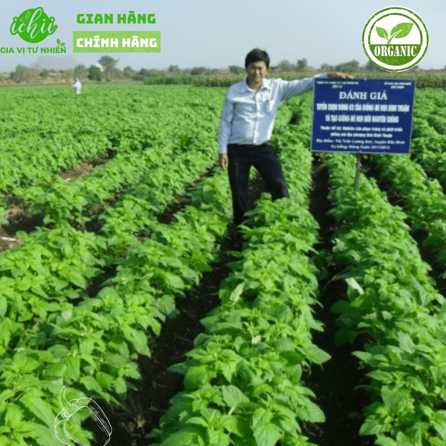 Mè đen  ORGANIC,hạt vừng đen hữu cơ thích hợp chế biến ăn dặm cho bé gói 100g