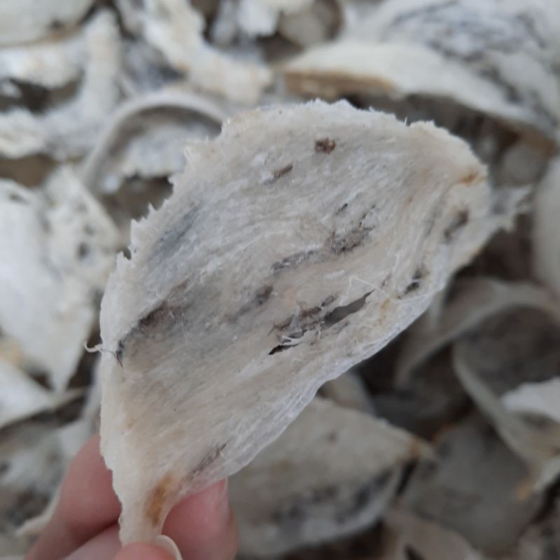 [Mã 267FMCGSALE giảm 8% đơn 500K] 30gr yến sào thô vỡ. yến thô bể nhẹ tặng kèm đồ chưng | BigBuy360 - bigbuy360.vn