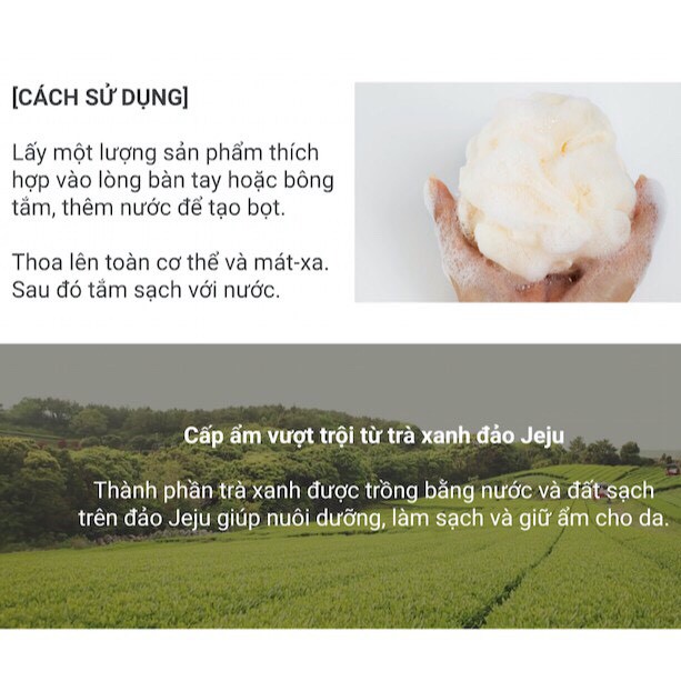 Tẩy Tế Bào Da Chết Toàn Thân Hương Trà Xanh Innisfree Green Tea Pure Body Scrub 150ml | BigBuy360 - bigbuy360.vn