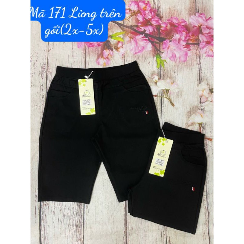 Quần lửng nữ umi hàn