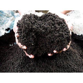 1kg đất sạch trồng cây