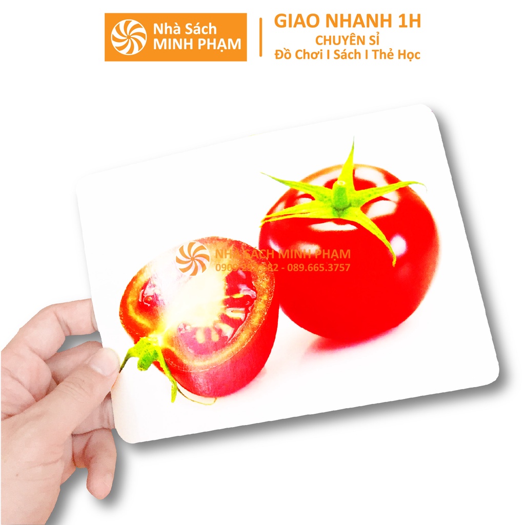 Sách - Bộ Thẻ Học Thông Minh Flashcard Thế Giới Xung Quanh Việt Hà Khổ A5 - Song Ngữ Anh Việt Phương Pháp Glenn Doman