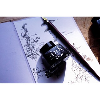 Mực vẽ manga Pilot Drafting Ink - Đen (Black) - 30ml/350ml