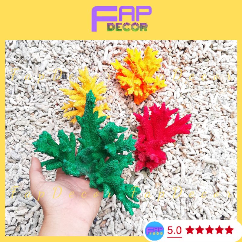 Bông Rạn Biển Thiên Nhiên Nhánh To 4 Màu Decor Bể Cá Trang Trí Bàn Làm Việc, San Hô Màu Siêu Đẹp Giá Rẻ - FapFood