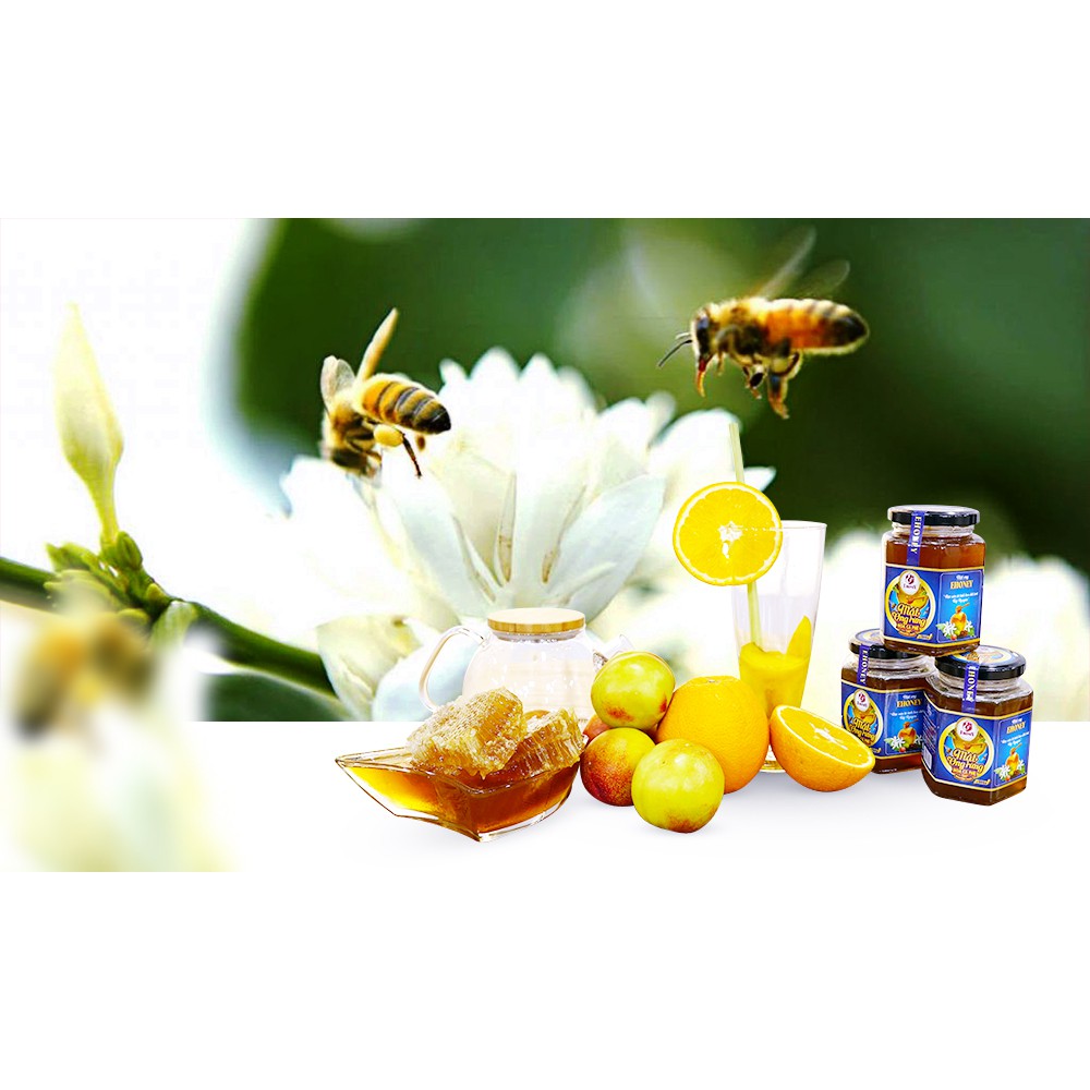 EHONEY - Hộp mật Ong rừng hoa cafe 500g/hộp