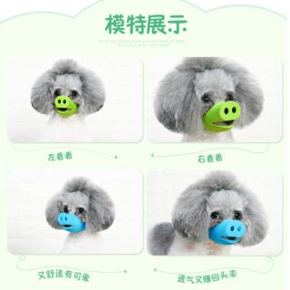 Rọ mõm chó mõm lợn