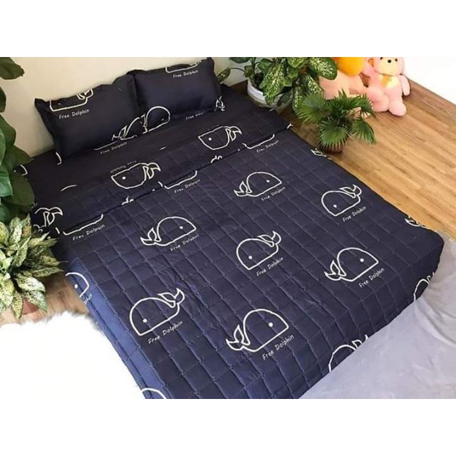 Set chăn hè ga gối poly