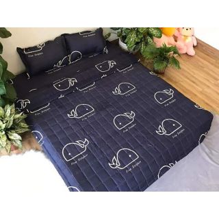 Set chăn hè ga gối poly