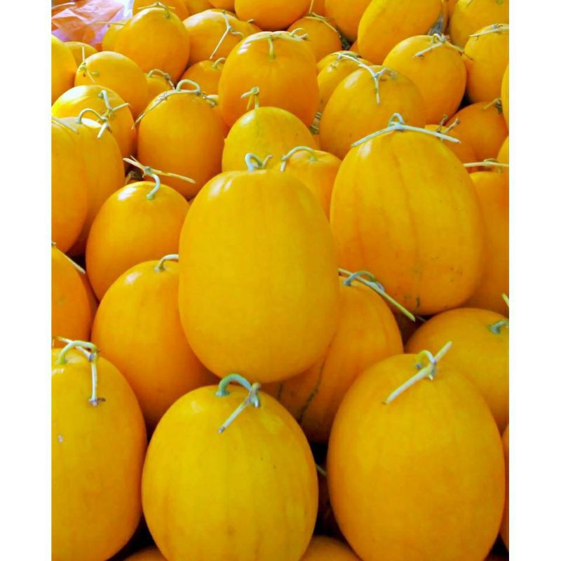 hạt giống dưa hấu vỏ vàng ruột đỏ F1 gói 1gram.