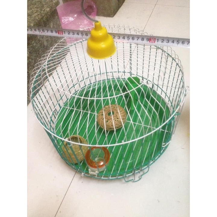 Lồng Chim Cu Gáy size 36cm __ lồng nhúng mủ