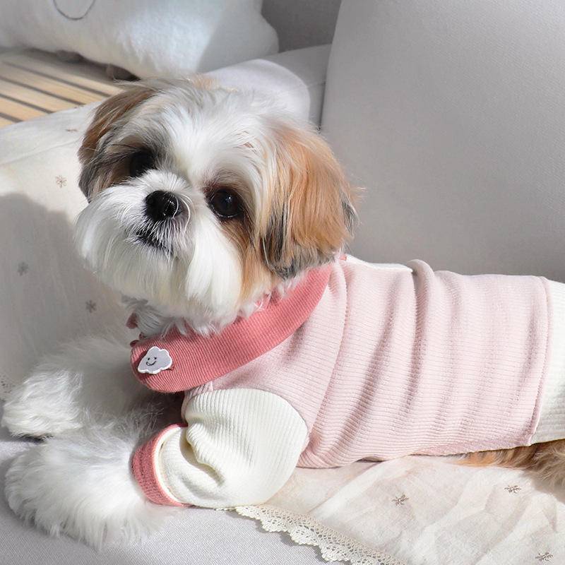 Áo HIPIDOG thời trang bốn mùa xinh xắn dành cho thú cưng