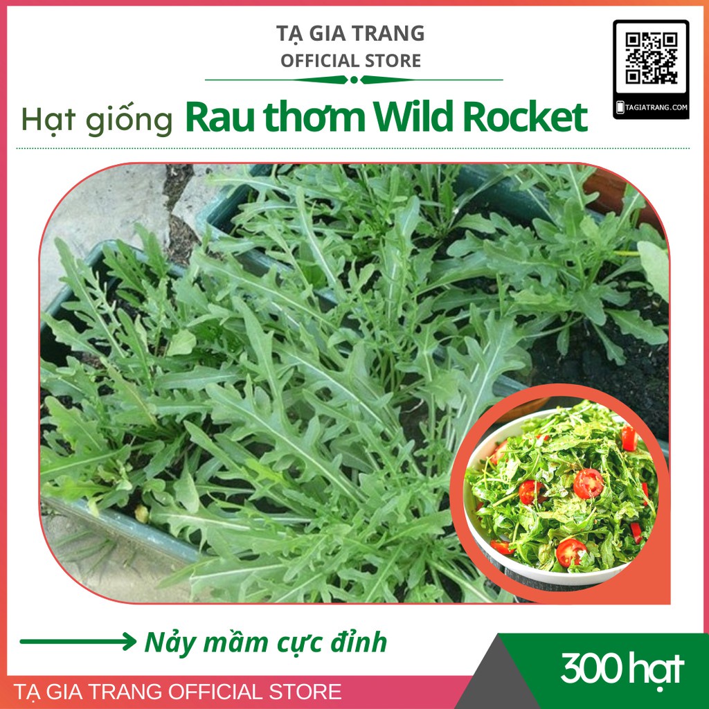 Hạt giống rau Wild Rocket Gói 1gr