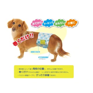 bỉm cho chó giống đực (bé trai) hãng P.one (bán lẻ từng miếng) - T3 PETS SHOP