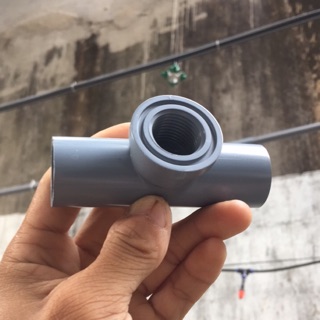 T ren trong nối béc phi 21