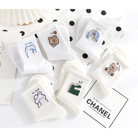 Set 6 tất cao cổ Bivota vỡ nữ in hình gấu vải cotton mềm mịn cực đẹp T140