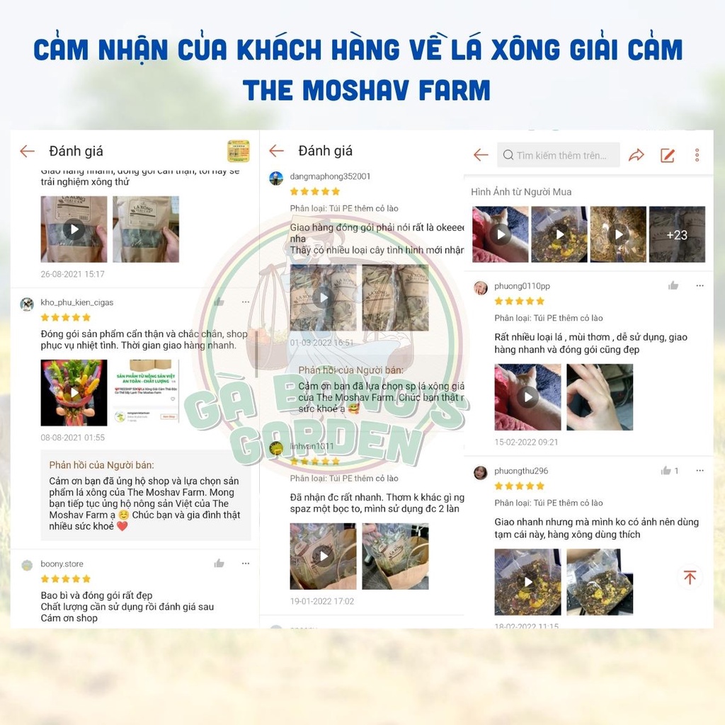 Lá Xông Giải Cảm The Moshav Farm Tăng Đề Kháng, Gói Xông Thảo Dược Sấy Khô Thải Độc 100g