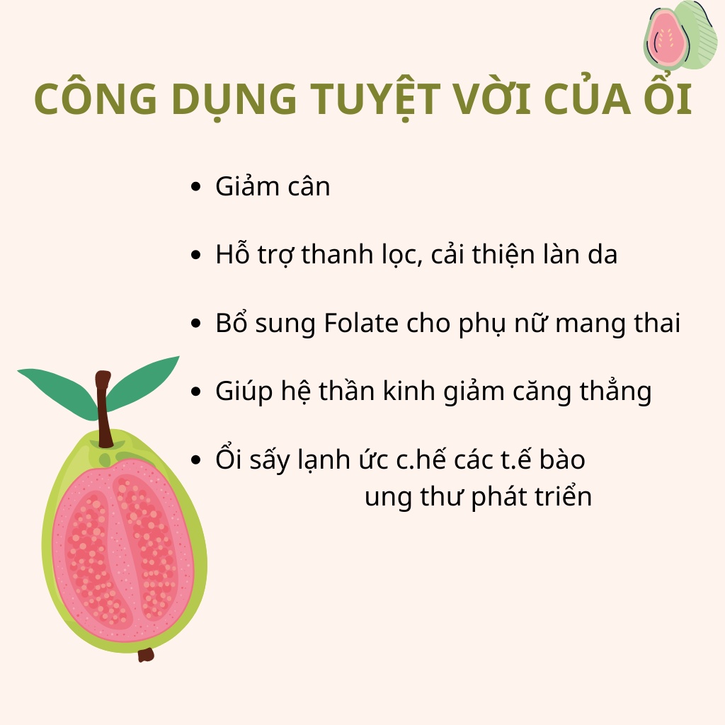 Ổi ruột đỏ thái lát sấy lạnh Robi Mart gói 250g - Lát đẹp hàng chính hãng