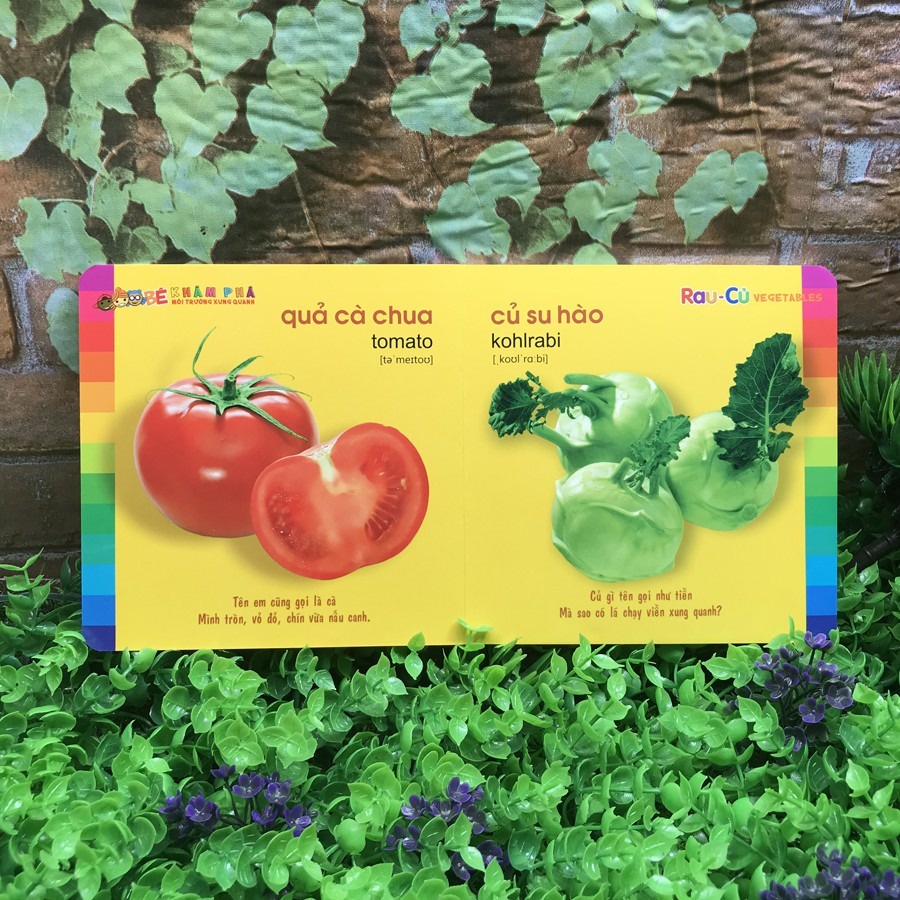 Sách- Combo:Bé Khám Phá Môi Trường Xung Quanh (8 TẬP)
