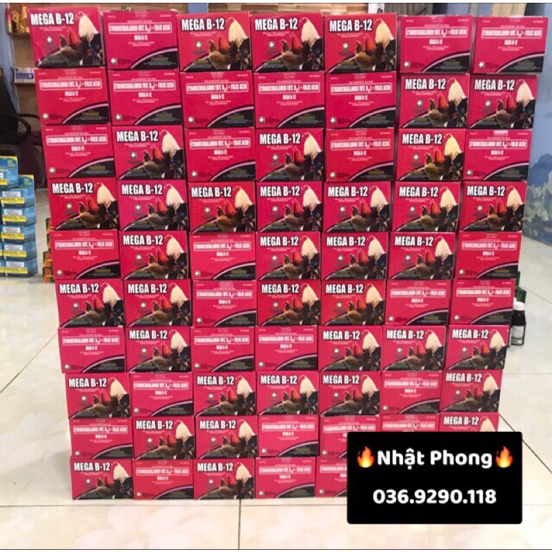 MEGA B12 -