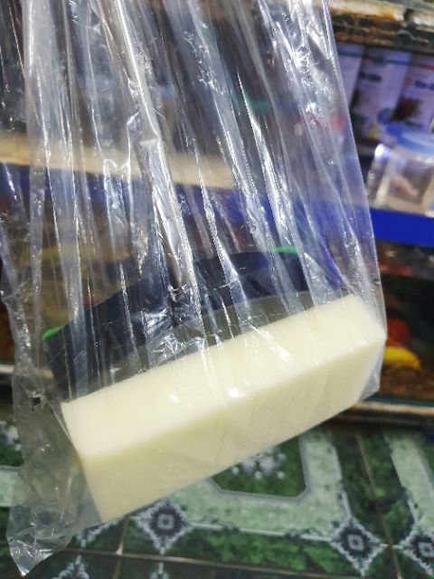 CÂY CHÀ VỆ SINH HỒ CÁ DÀI KHOẢNG 70CM