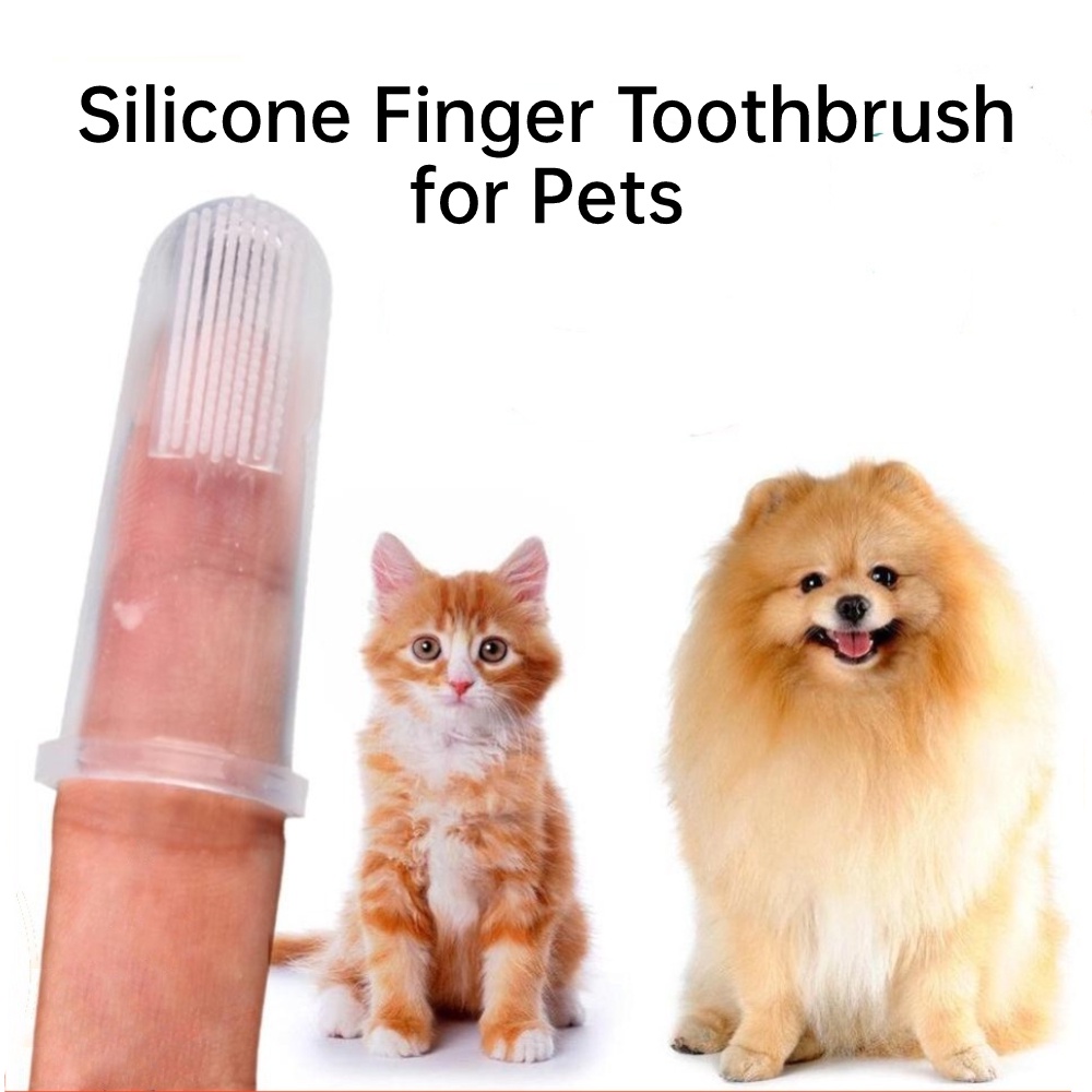 Bàn Chải Đánh Răng Ngón Tay Silicone Mềm Cho Thú Cưng Chó Mèo