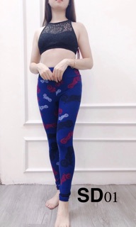 Quần legging tập xuất dư XẢ SỈ