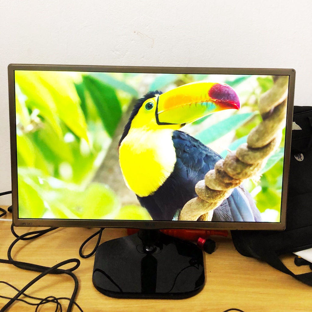 Màn hình LG 24 Inch Led IPS LG24MP66