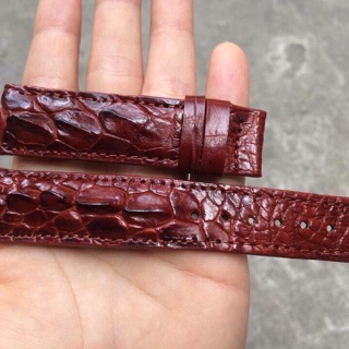 Dây Đồng Hồ da cá sấu