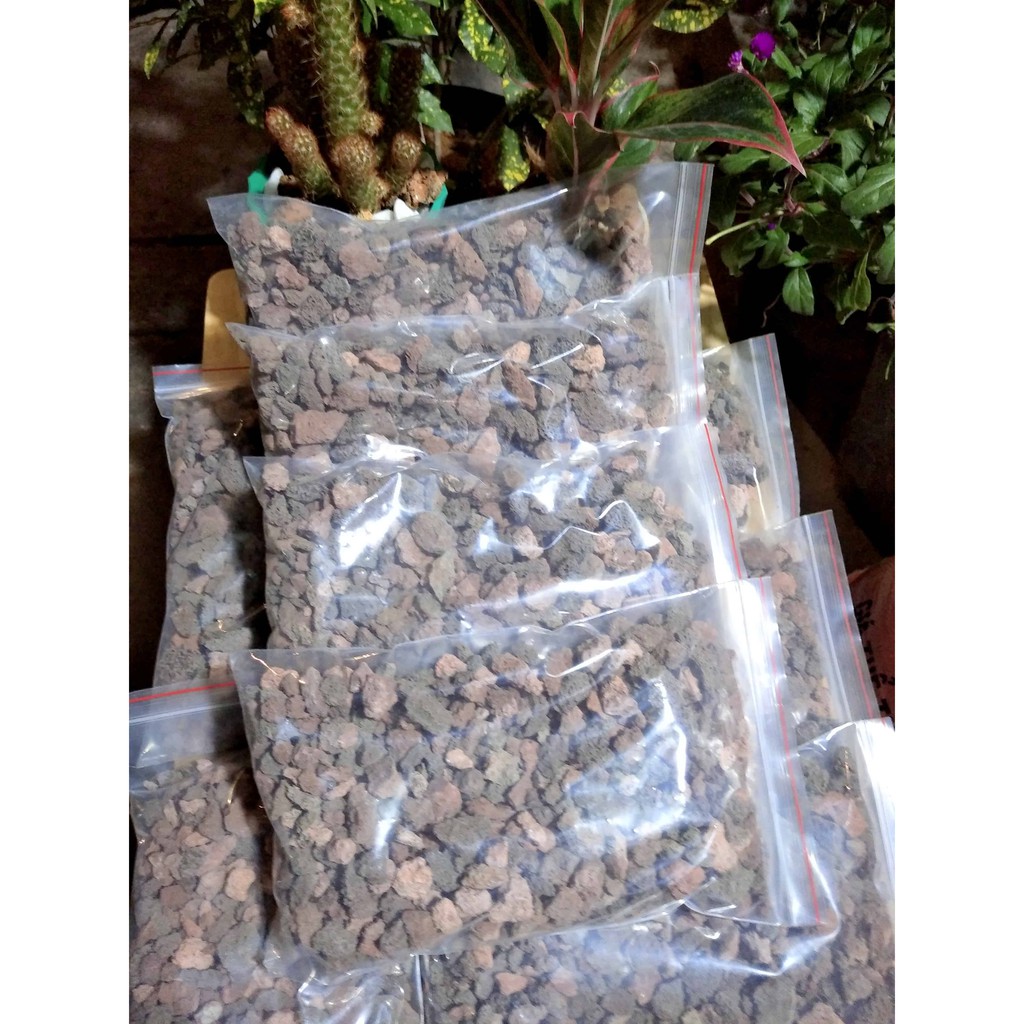 Đá núi lửa 1kg