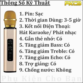 Micro Karaoke kèm loa bluetooth Nhập khẩu cao Cấp TAS21