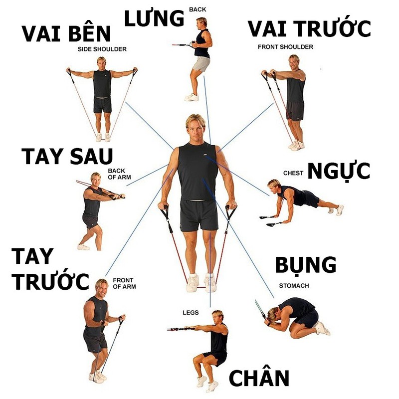 Dụng Cụ Thể Dục Tại Nhà, Đốt Cháy Mỡ, Giảm Mỡ Cơ Thể, Bộ Dây Tập Gym Kháng Lực Ngũ Sắc 5 Món