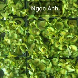Serum tinh chất bơ và tinh bột bơ