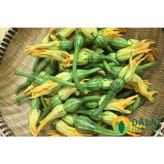 Hạt giống Bí ăn nụ TN