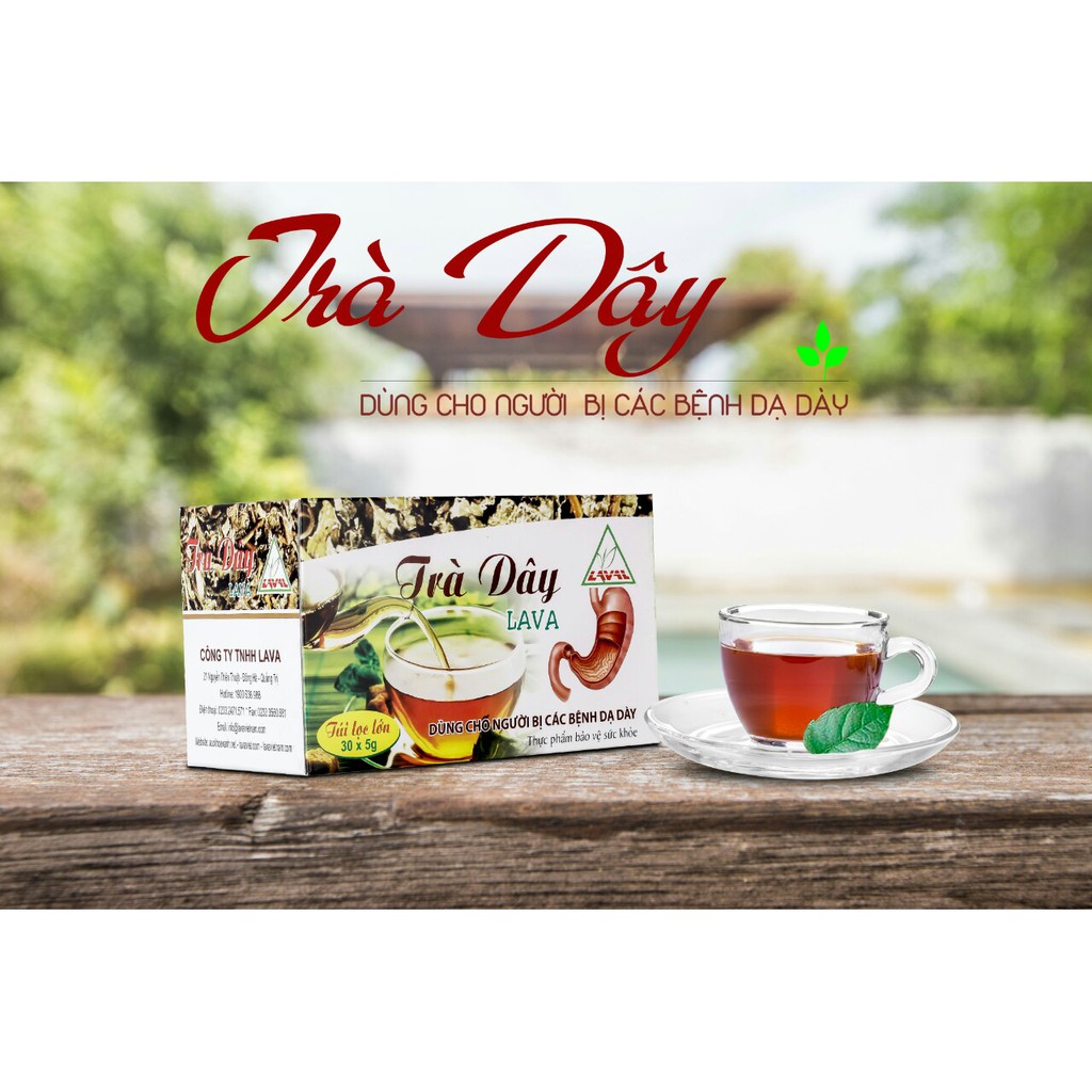 Trà Dây Lava- Hỗ trợ Dạ Dày, HP Dạ Dày