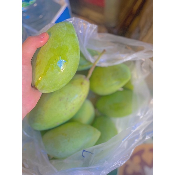 XOÀI CÁT HOÀ LỘC LOẠI 1