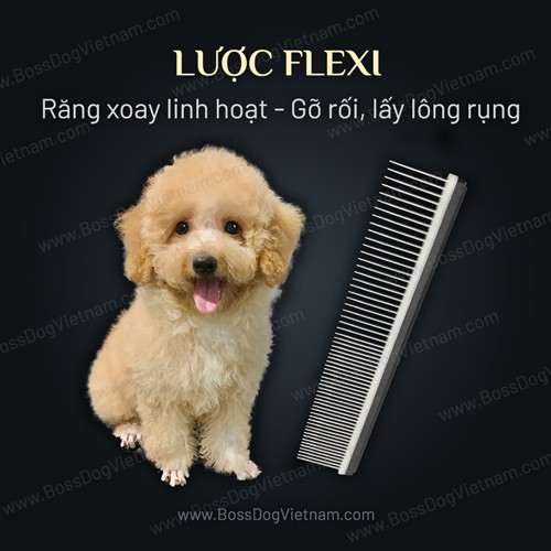 Lược thẳng chải lông chó, gỡ rối lông cho Poodle Corgi Husky Pom | BossDog