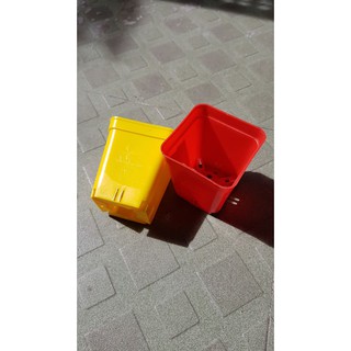 Chậu vuông 7x7 nhiều màu (Set 100 cái).