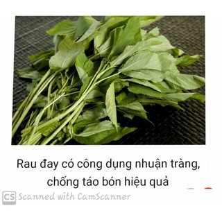 Hạt Giống Rau Đay Thái Nấu Canh Cua Đồng