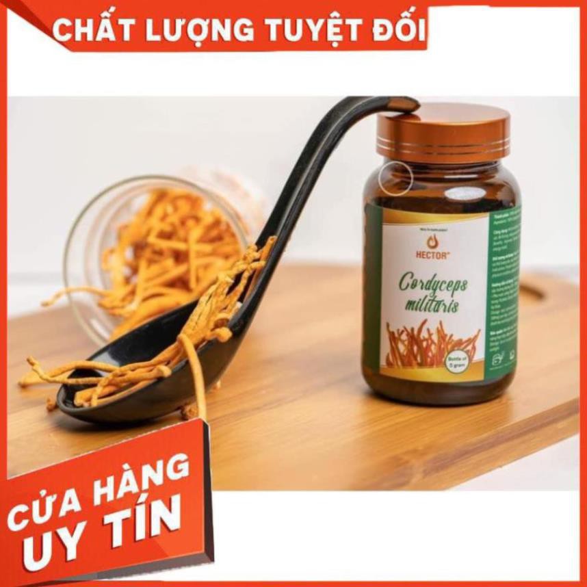 Đông trùng hạ thảo Hector dạng sợi sấy thăng hoa