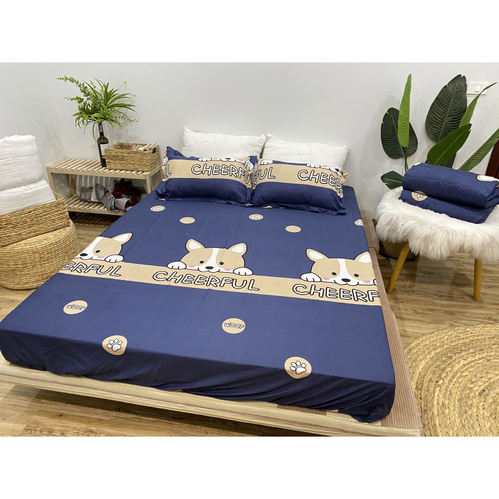 Ga trải giường cotton poly 1m2x1m9, 1m6x2m, 1m8x2m, 2mx2m2 drap giường được chọn mẫu thoải mái - Gấu Rich