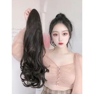 TÓC GIẢ NGOẠM DÀI ĐUÔI NGỰA