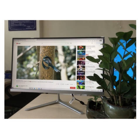 Bộ máy tính để bàn All in One 24''CORE i3 6100T + ram 8GB + SSD 128GB + Main B250 - tích hợp tất cả trên 1 màn hình