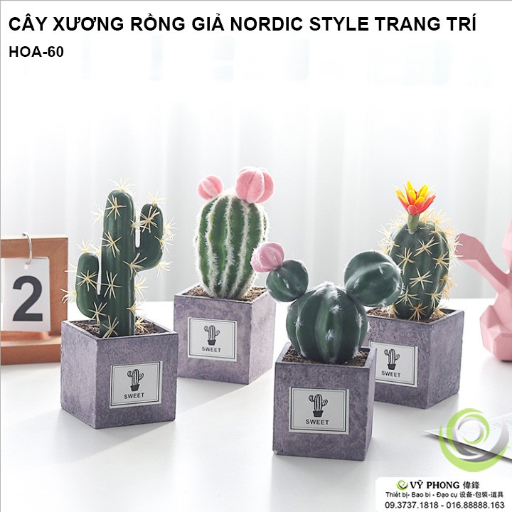 CÂY XƯƠNG RỒNG GIẢ TRANG TRÍ NORDIC STYLE ĐẠO CỤ CHỤP ẢNH HOA-60